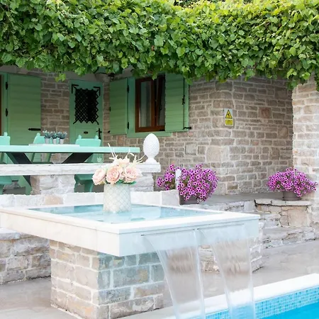 House Wood أوروبيتش