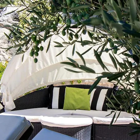 بيت للعطل House Wood *